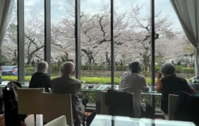 【帰着レポート】千鳥ヶ淵での優雅な桜のひとときと赤プリクラシックハウス