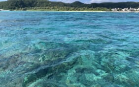 絶海の孤島 南大東島とケラマ諸島の旅【5日間】