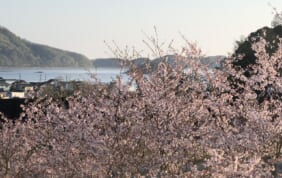 【帰着レポート】「鳥取、大山、奥出雲」海と山の絶景グルメ旅 5日間