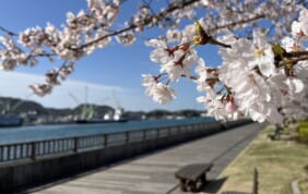 【帰着レポート】春の尾道旅情としまなみ海道の旅　5日間