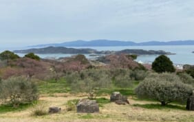 【帰着レポート】瀬戸内の春景色　桜の小豆島と姫路城の旅【4日間】