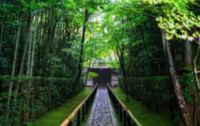 嘯月（しょうげつ） 京を代表する和菓子に出会う（京都）