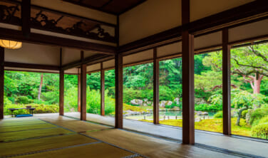 関西4つの美術館めぐり【4日間】
