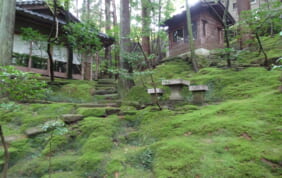 【帰着レポート】永平寺柏樹關（はくじゅかん）と越前の古き町々 【5日間】