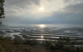 【帰着レポート】御輿来（おこしき）海岸の夕景と不知火海のうたせ船の旅