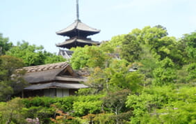 【帰着レポート】春の奈良大和四寺巡礼と花の美寺の旅 3日間