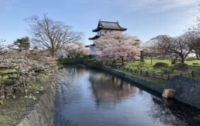 桜咲く春の松前と函館赤レンガに泊まる旅　3日間