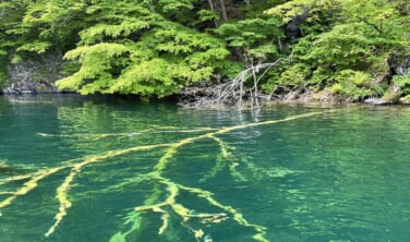 憧れの「十和田ホテル」に2泊　初夏の奥入瀬と紺碧のイトムカ【3日間】
