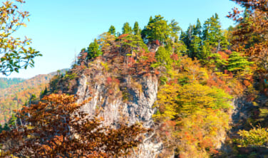 紅葉の季節　大台ヶ原ハイキングと黄金の曽爾高原の旅【4日間】