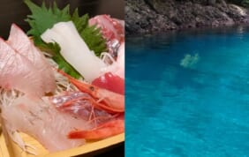 【帰着レポート】夏の佐渡島とオーベルジュ浦島の旅