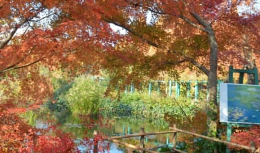 紅葉の時期に訪ねる「モネの庭」とオーベルジュ土佐山の旅【3日間】