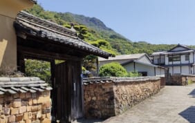 太平洋の船旅と優雅な九州　嬉野の名旅館と古き町並探訪の旅