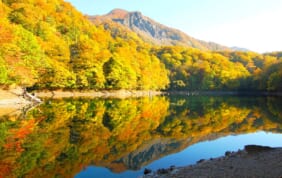 紅葉色づく秋の東北　秘境の地を巡る最旬の旅