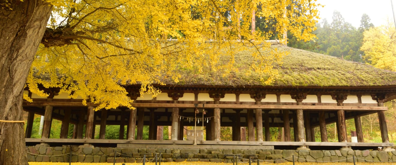 秋に色づく仏都会津ととっておきの国宝仏教遺産【4日間】