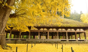 秋に色づく仏都会津ととっておきの国宝仏教遺産【4日間】
