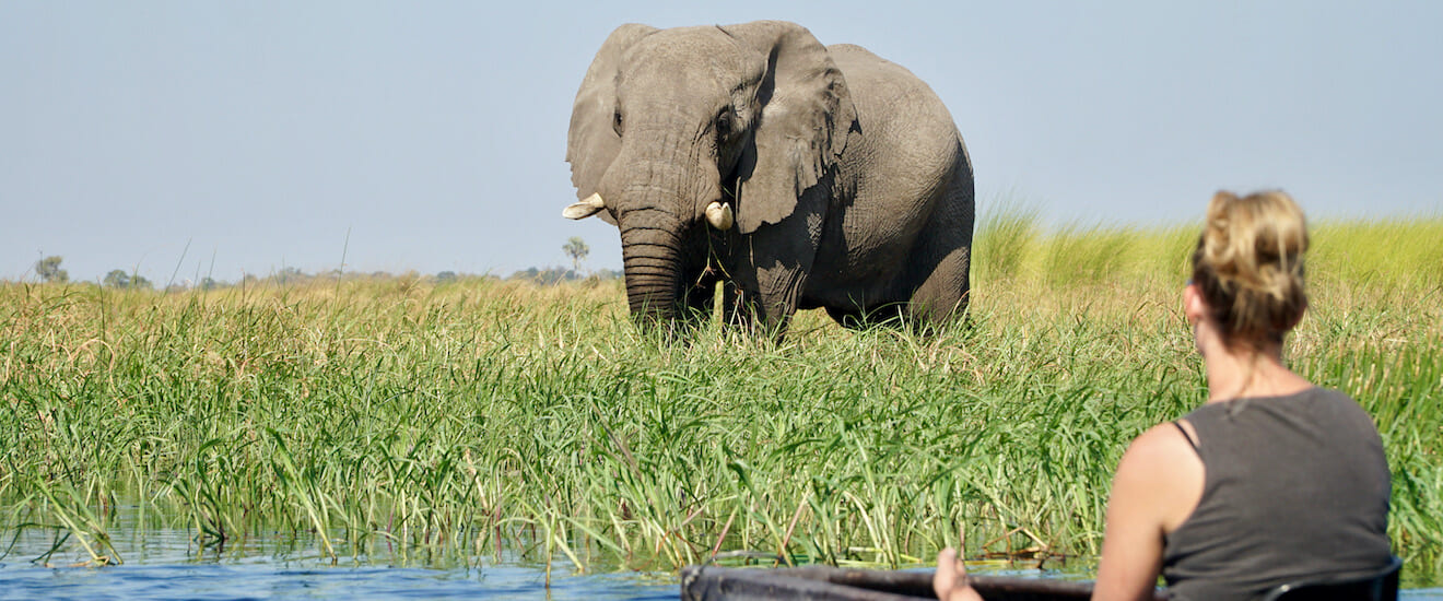 ボツワナ・オカバンゴ湿地帯とモレミ鳥獣保護区の旅【10日間】