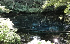 【帰着レポート】ランプの宿森つべつと神秘の裏摩周・神の子池の旅　3日間