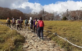 【帰着レポート】大台ヶ原ハイキングと黄金の曽爾高原の旅【4日間】