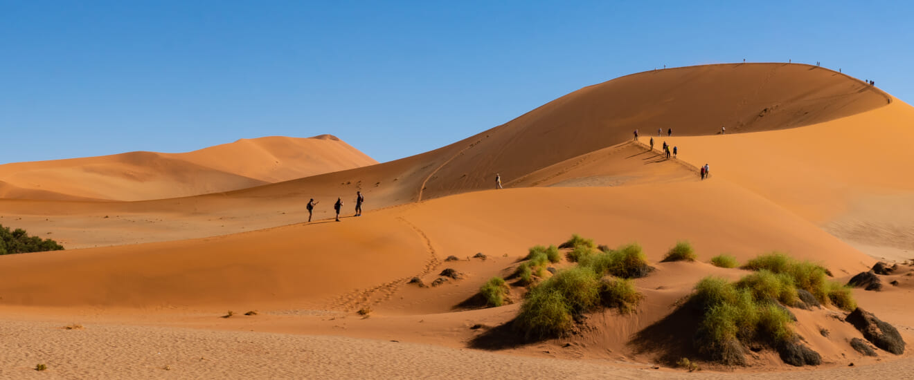 ゴールデンウィークの旅　世界最古の大砂漠を訪問　ナミビア周遊の旅【9日間】