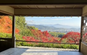 「京都を歩く旅」京都トレイル人気コースと秋の京都の旅　3日間