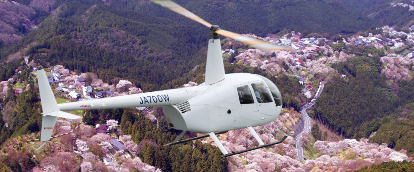 吉野の桜を上空から眺める　春の吉野と和空法隆寺の旅【3日間】