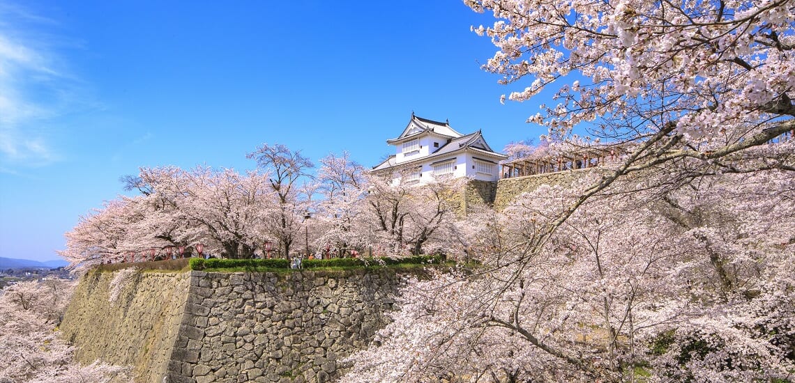 桜の津山と出雲街道・春景色の旅【4日間】