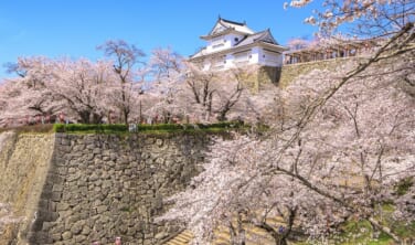 桜の津山と出雲街道・春景色の旅【4日間】
