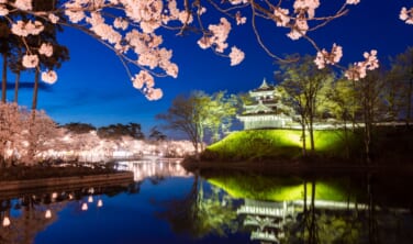 高田の夜桜と信越桜紀行【3日間】