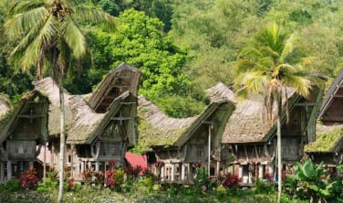 空路で訪ねるインドネシアの秘境　タナ・トラジャの旅【7日間】