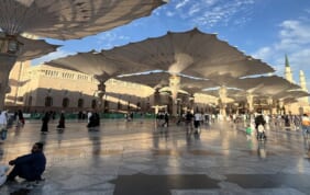 【帰国レポート】開かれた神秘のヴェール　アラビアの源流　サウジアラビア周遊の旅