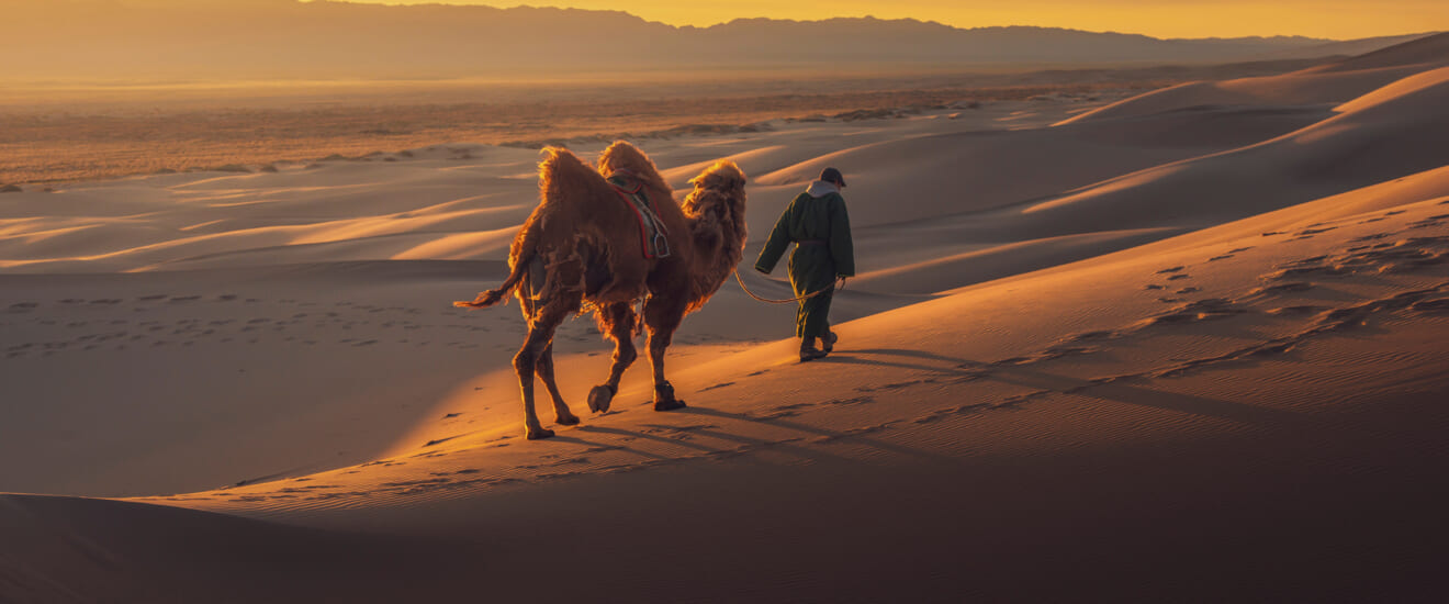 新企画　夏のモンゴル　ゴビ砂漠の絶景と花咲くテレルジの旅【8日間】