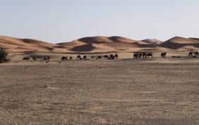 【帰国レポート】幻想のモロッコとラ・マムーニャの旅
