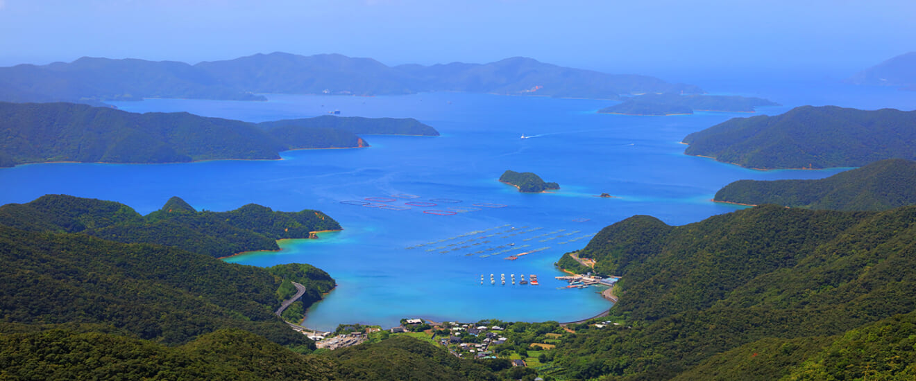 奄美大島・徳之島の大自然と喜界島の旅【6日間】