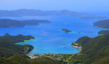 奄美大島・徳之島の大自然と喜界島の旅【6日間】