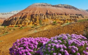 知られざる絶景の宝庫 中央アジアの旅