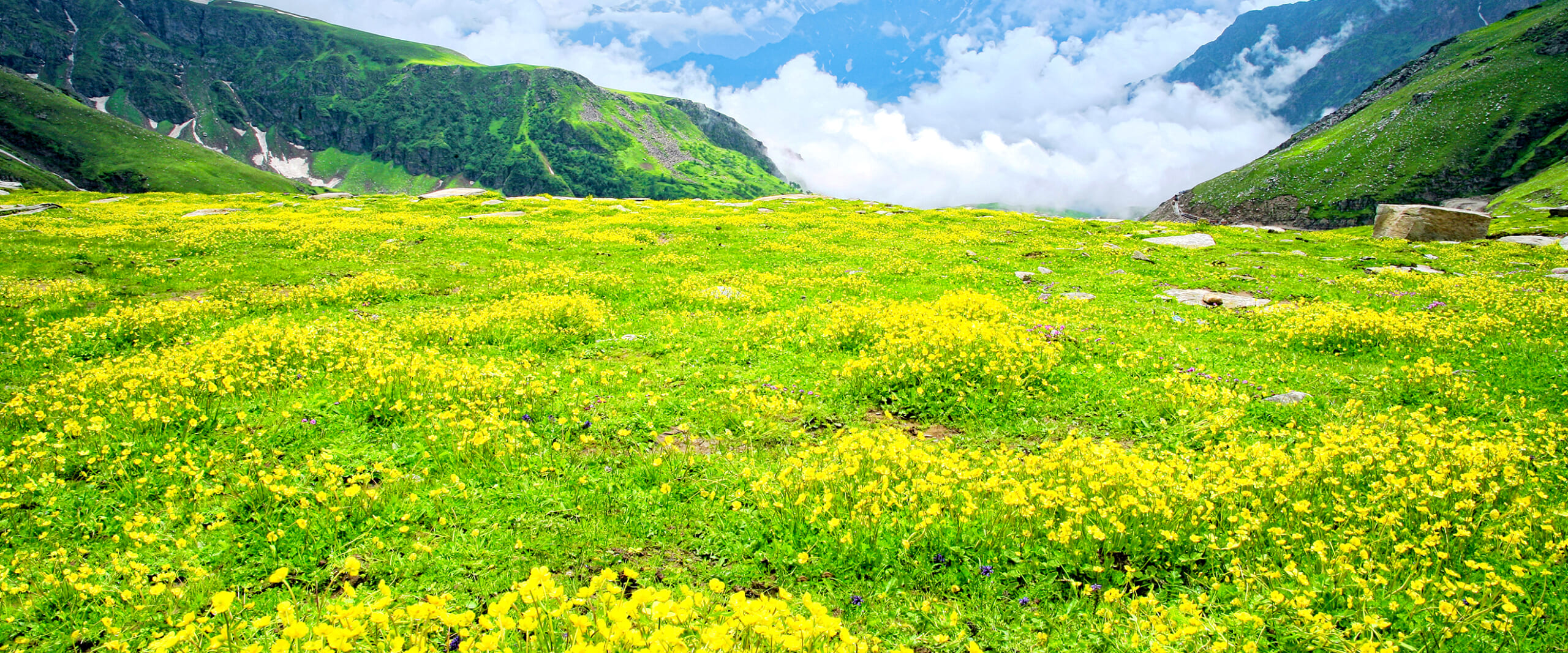 免活に!!花園渓谷ペグマタイト(22) 免活に!!花園渓谷ペグマタイト(22) 【公式通販】