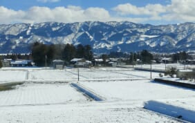 【帰着レポート】富山で出逢う4つの伝統民謡と五箇山貸切ライトアップの旅【3日間】