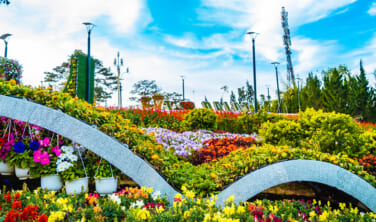 【2024ゴールデンウィーク】花の街ダラット新しいコロニアル風リゾート 高原の休日【6日間】