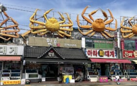 【帰着レポート】韓国の古都を訪ねて　旬の食と春景色を楽しむ旅