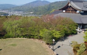 【帰着レポート】京都トレイル東山コースと春の京都の旅　3日間