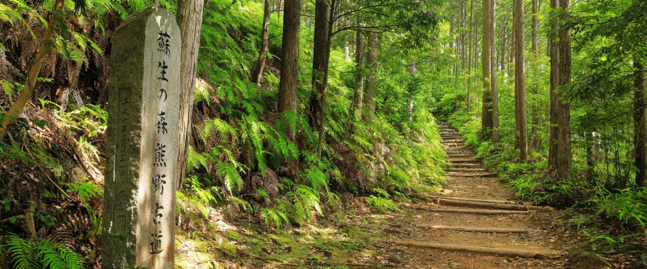 世界遺産　熊野古道を歩く旅【4日間】