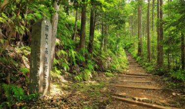 世界遺産　熊野古道を歩く旅【4日間】