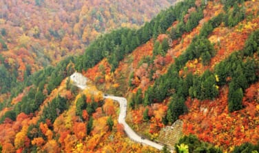 白山白川郷ホワイトロードと北飛騨の森を歩く旅【4日間】