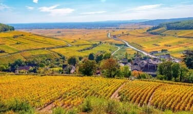 ブルゴーニュ最大のワインの祭典「栄光の3日間」と世界遺産リヨンの旅【8日間】