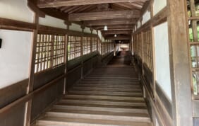 【帰着レポート】永平寺柏樹關と越前の古き町々