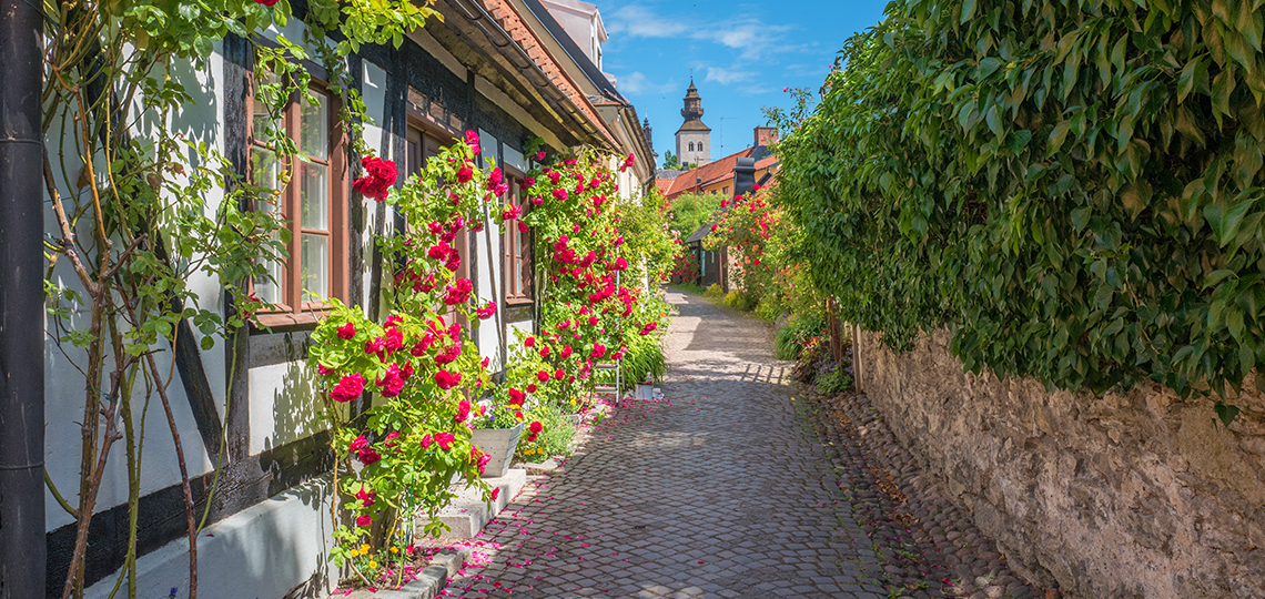 帰国レポート】夏のバルト海沿岸の街々と中世の島ゴッドランド島の船旅