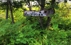 【帰着レポート】秘境ガーデン「太四郎の森」と南十勝夢街道の旅　3日間