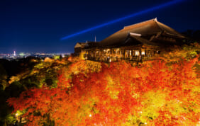【速報・注目の旅】錦秋を楽しむ京都・琵琶湖・金沢4連泊滞在の旅