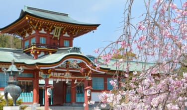語り部と旅する　梅薫る早春の防長路　山口・防府・下関の旅【4日間】