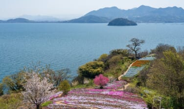 早春せとうみ小豆島とSetoピリカでゆく瀬戸内の島々【5日間】